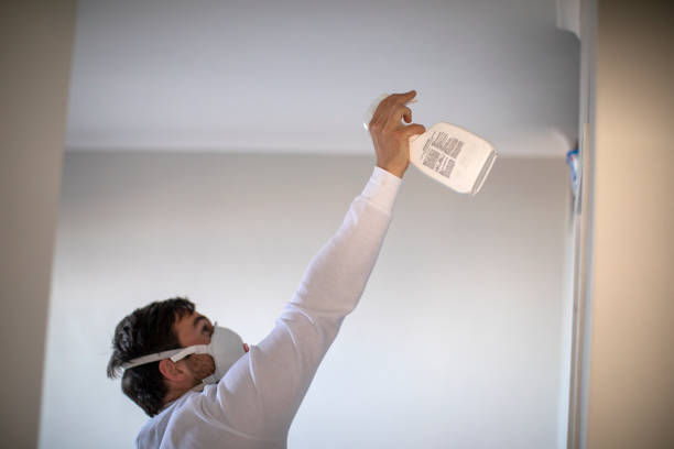 Mold Removal and Inspection in Grandwood Park, IL