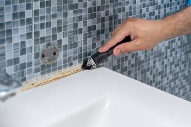 Best Mold Testing  in Grandwood Park, IL