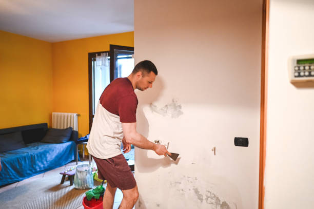 Trusted Grandwood Park, IL Mold Removal Experts
